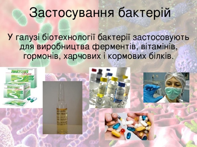 Застосування бактерій У галузі біотехнології бактерії застосовують для виробництва ферментів, вітамінів, гормонів, харчових і кормових білків. 