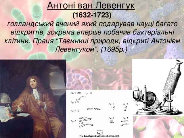 Антоні ван Левенгук   (1632-1723)  голландський вчений який подарував науці багато відкриттів, зокрема вперше побачив бактеріальні клітини. Праця “Таємниці природи, відкриті Антонієм Левенгуком”. (1695р.) 