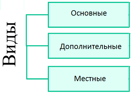 Назначение виды и расположение