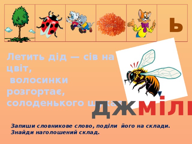  ь Летить дід — сів на цвіт,  волосинки розгортає, солоденького шукає. дж міль Запиши словникове слово, поділи його на склади. Знайди наголошений склад. 