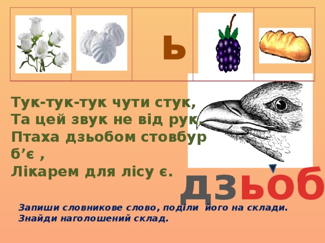  ь Тук-тук-тук чути стук, Та цей звук не від рук. Птаха дзьобом стовбур б’є , Лікарем для лісу є. дз ьоб Запиши словникове слово, поділи його на склади. Знайди наголошений склад. 