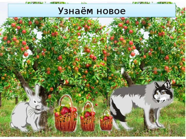 Узнаём новое 