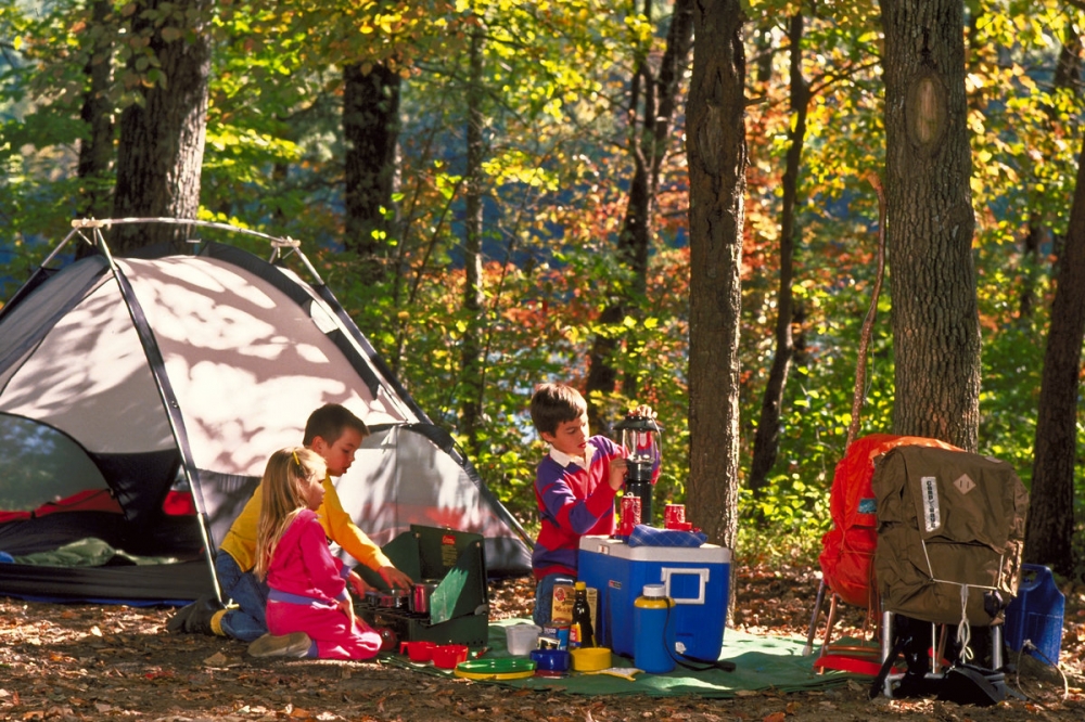 Go camping картинки
