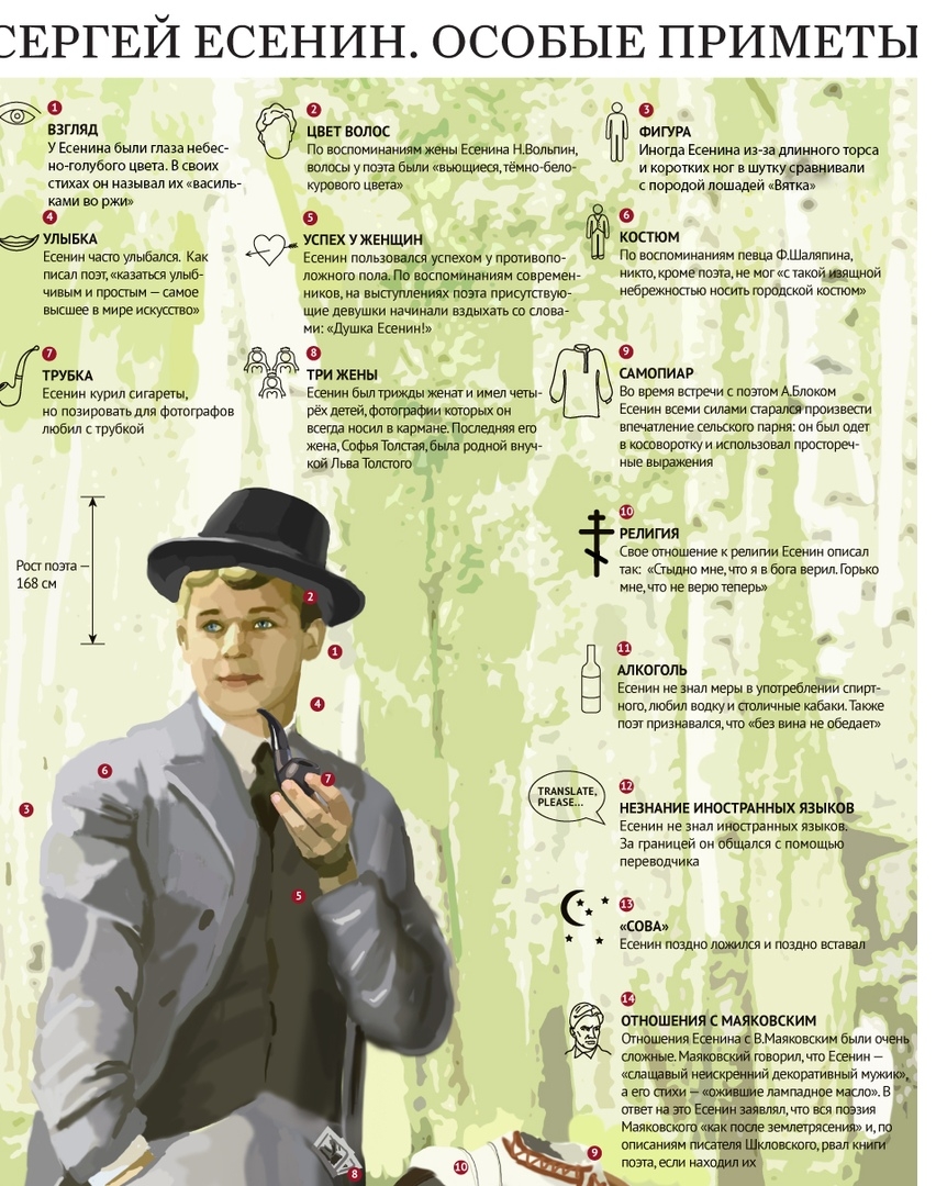 Инфографика по писателям