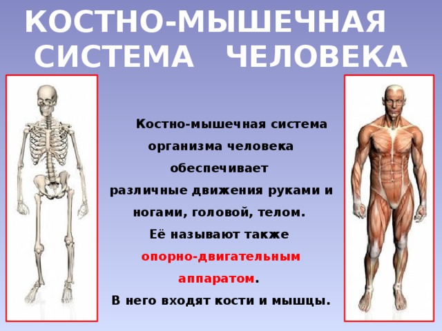 [PUNIQRANDLINE-(au-dating-names.txt) 37 Кости и мышцы необходимо укреплять доклад 9172