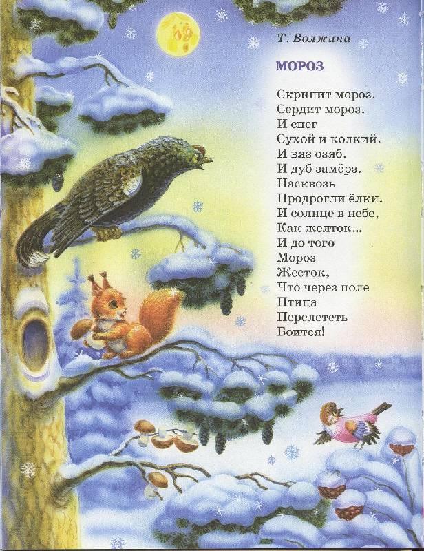 Надписью для, стихи зима картинки