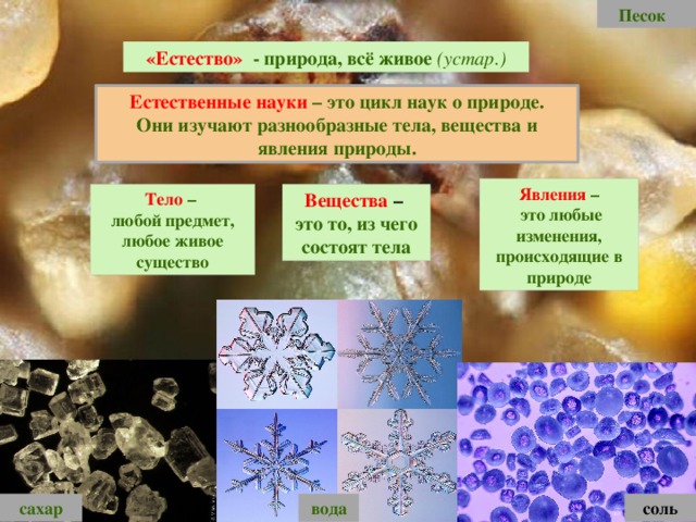 Науки изучающие природные явления реферат 61