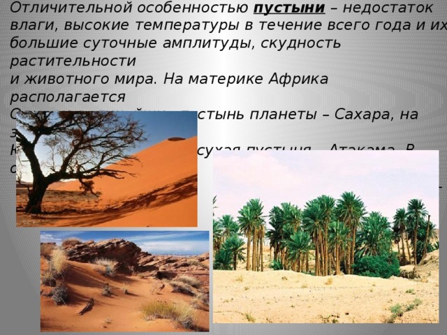 Путешествие по природным зонам земли — иллюстрация 104