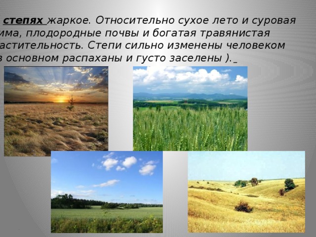 Путешествие по природным зонам земли — иллюстрация 107