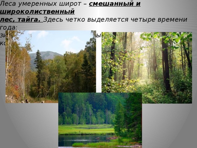 Путешествие по природным зонам земли — иллюстрация 110