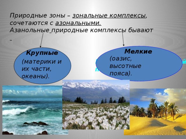Путешествие по природным зонам земли — иллюстрация 99