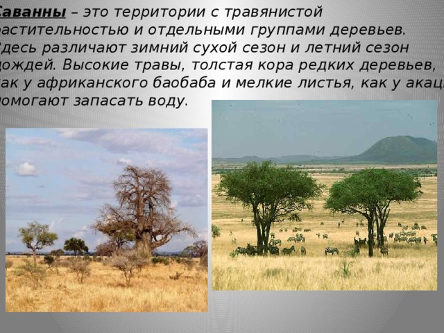 Путешествие по природным зонам земли — иллюстрация 102