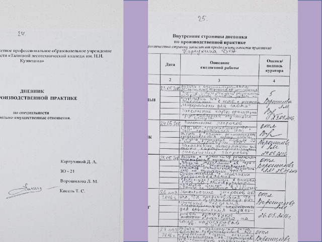 Отчет учебная практика мфц 1876