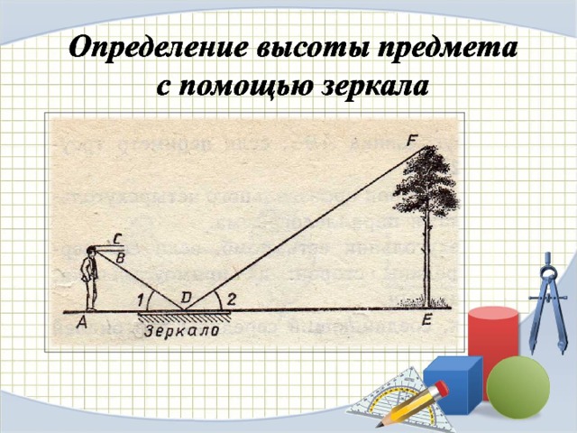 определение высоты дерева с помощью зеркала