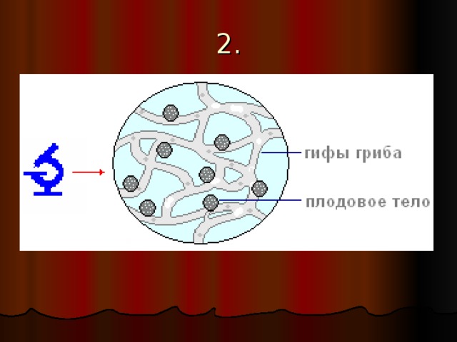 Открытка ураза, гифы биология что